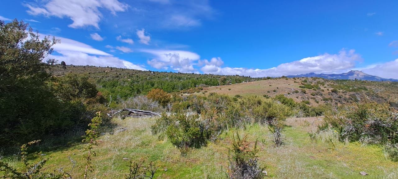 VENTA DE LOTE EN Cholila - 3