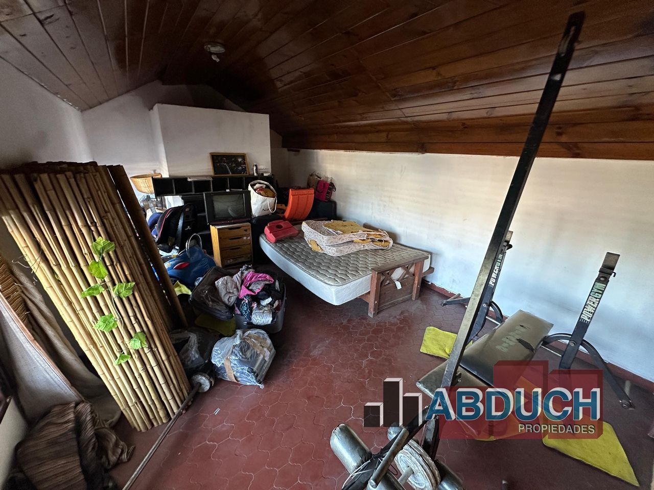 Imagen 22