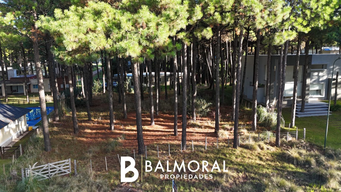 Lote EN VENTA