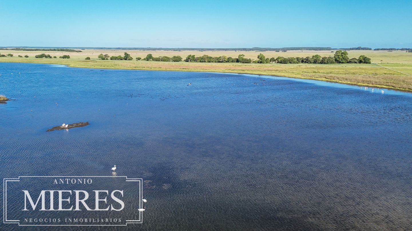Campo EN VENTA