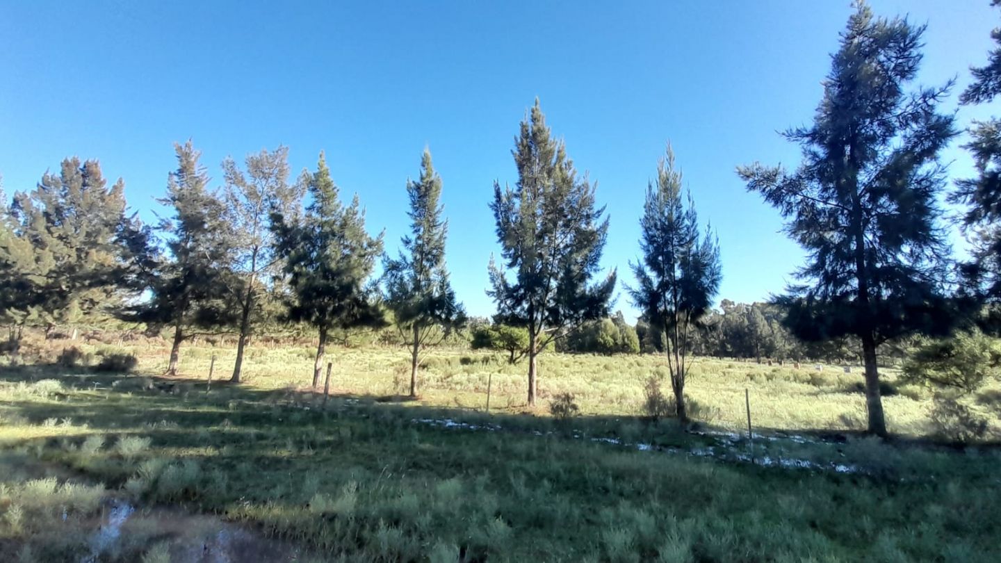 Lote en Venta en Punta Indio, Buenos Aires Interior