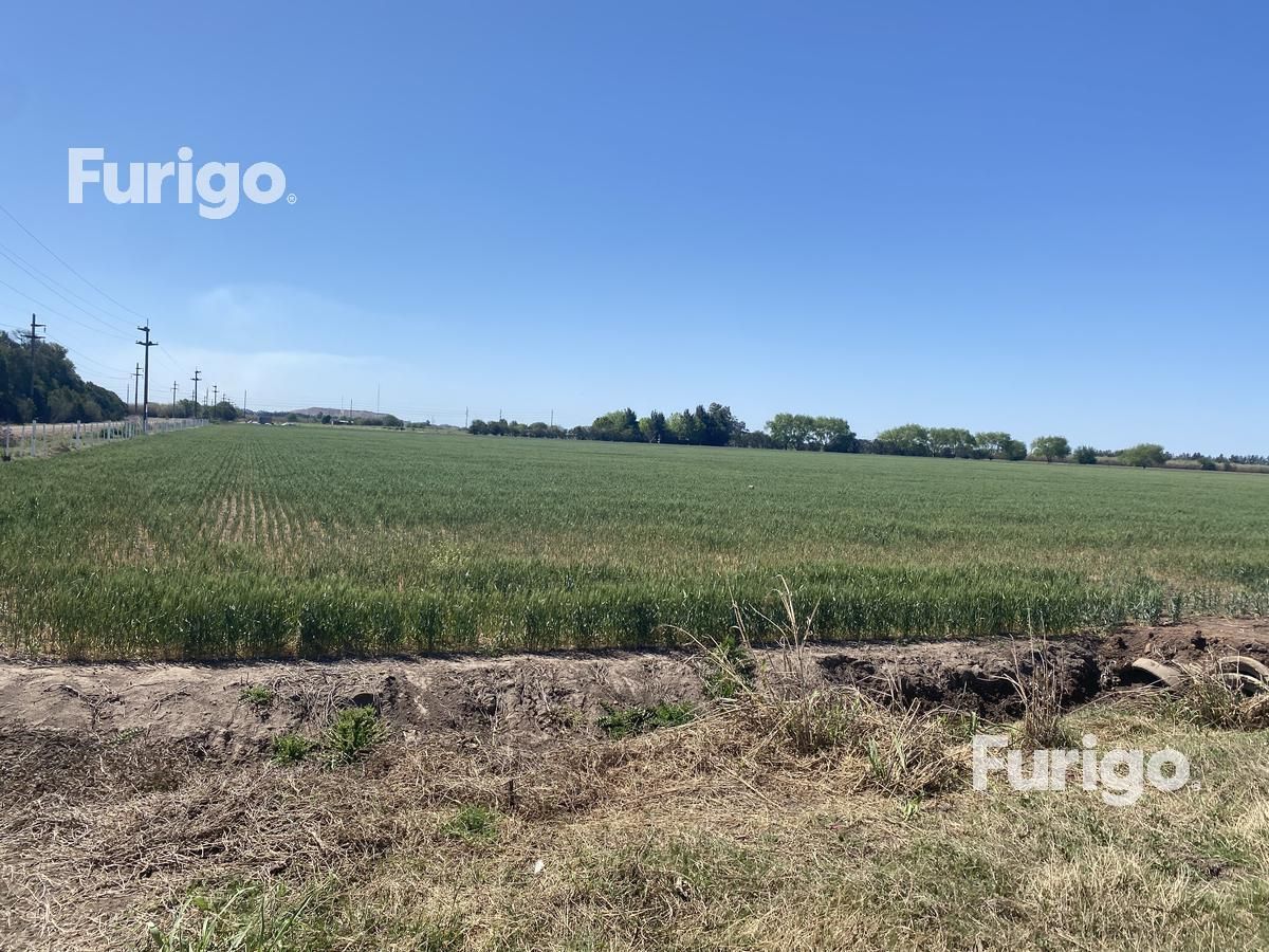 Campo en Venta en Rosario, Santa Fe