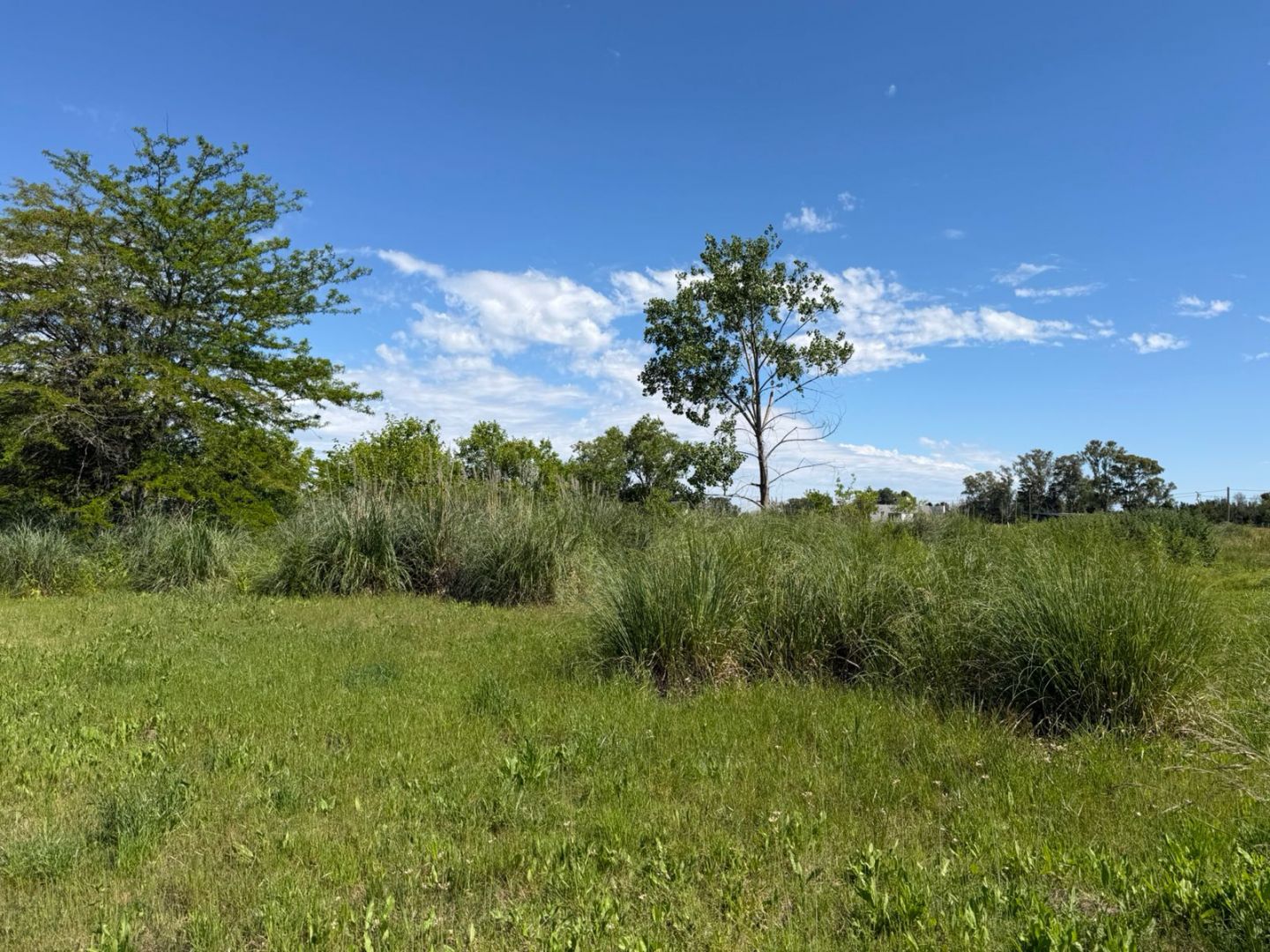 Lote EN VENTA