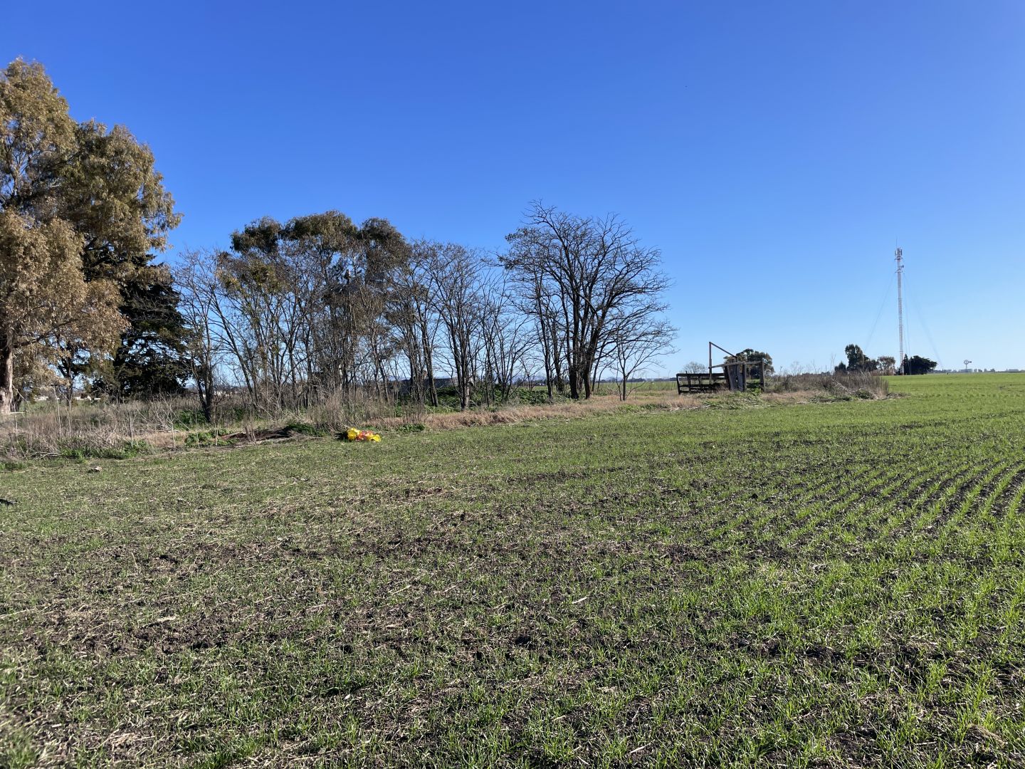 Campo EN VENTA