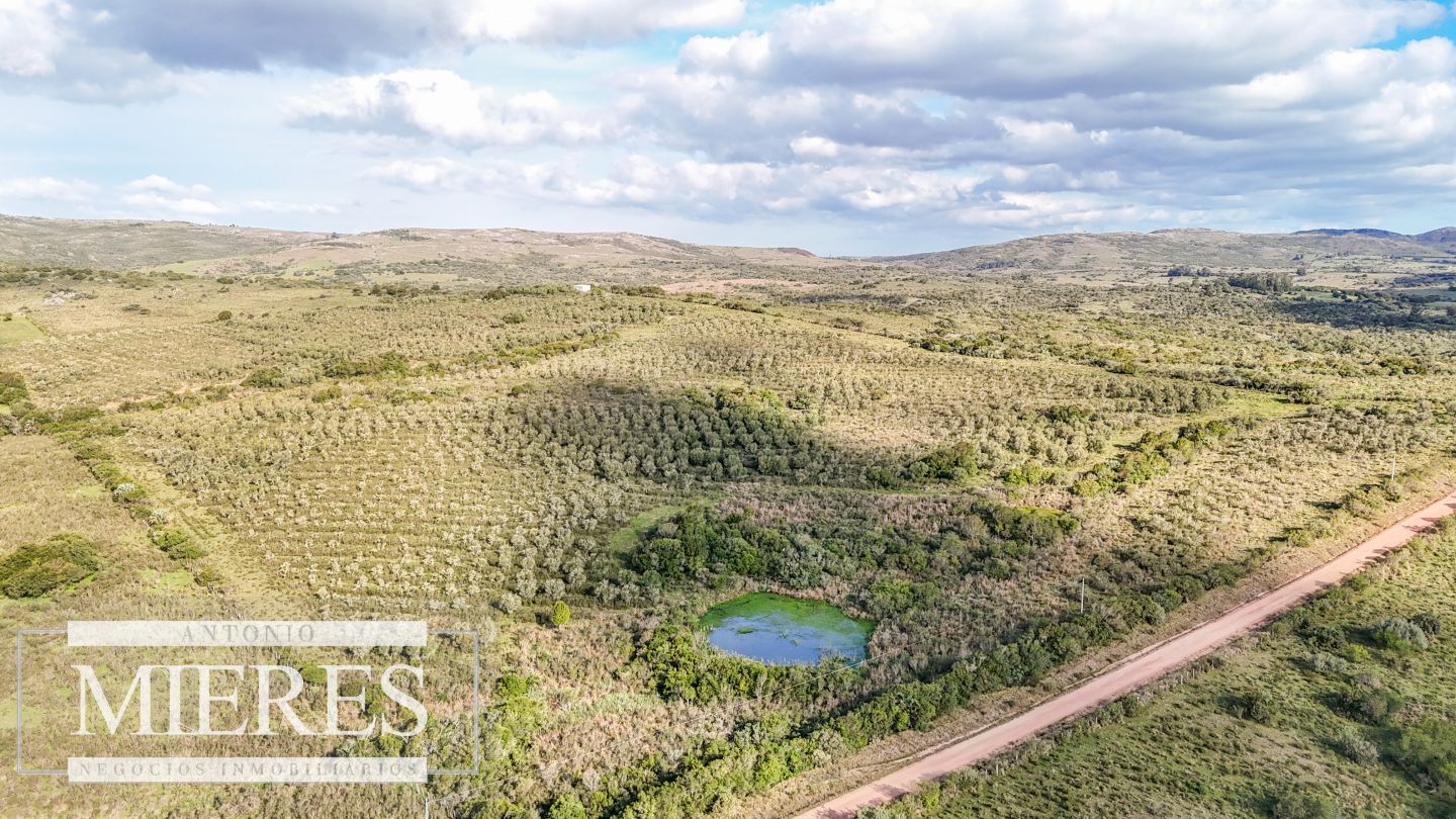 Campo EN VENTA