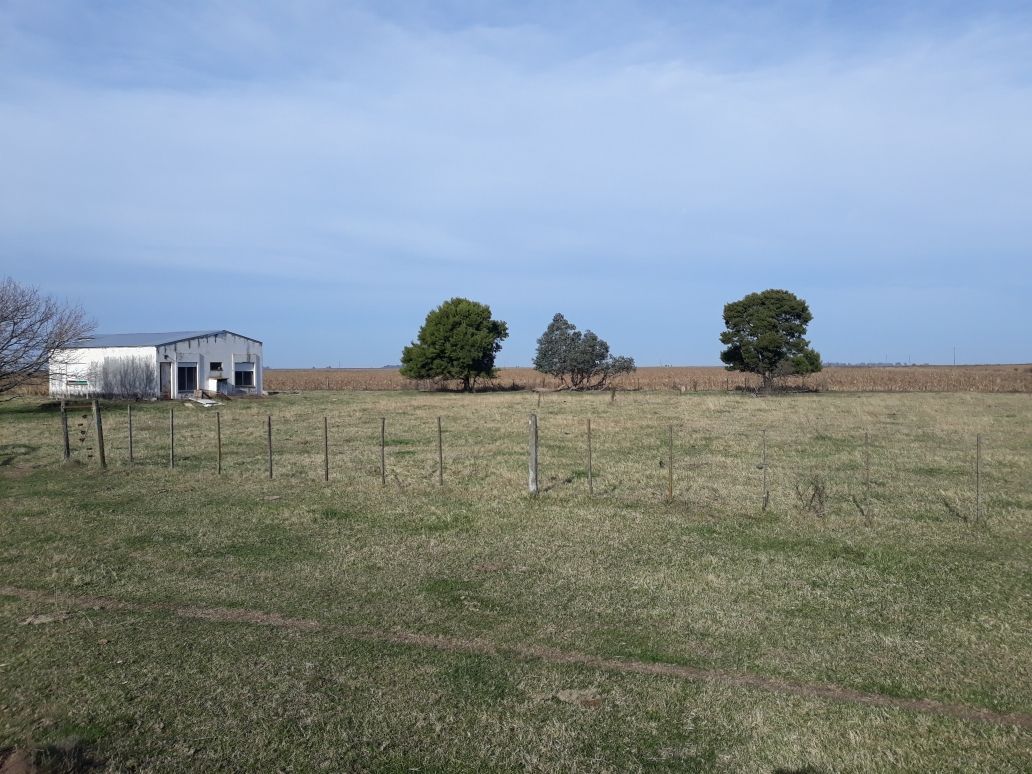 Campo EN VENTA