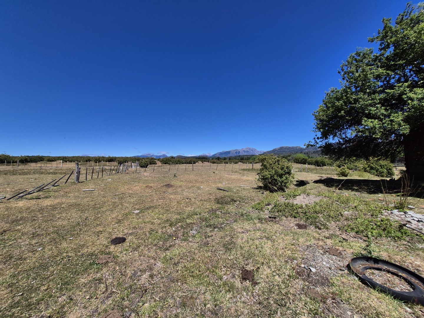 Campo EN VENTA