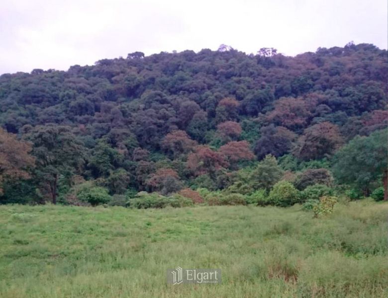 VENTA DE LOTE EN El Siambon - 4