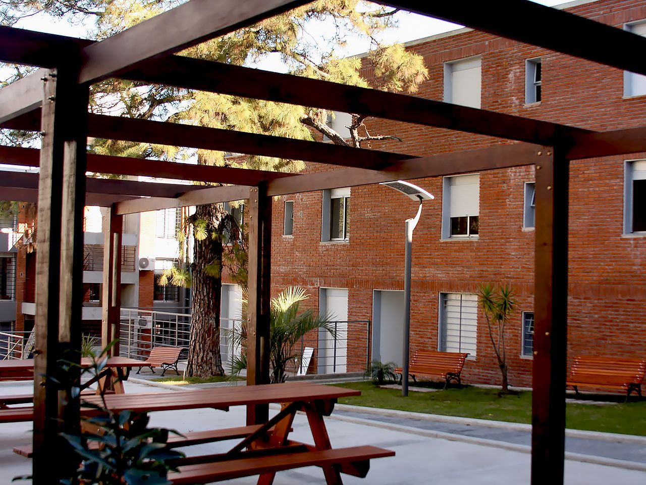 EL PINO