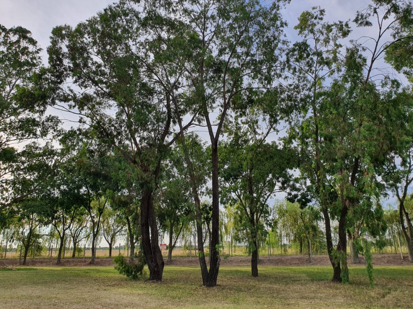 Lote EN VENTA