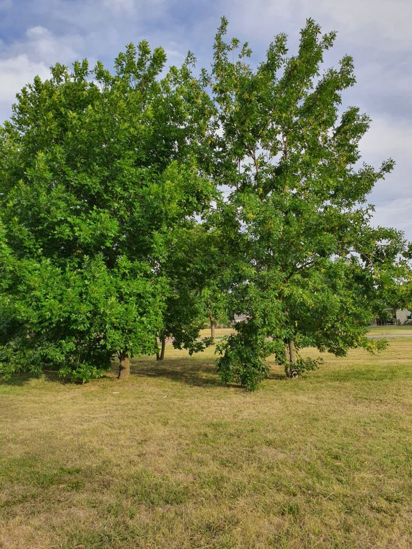 Lote EN VENTA