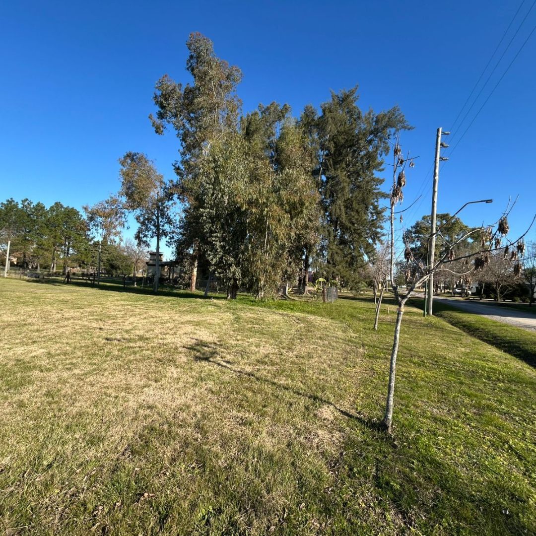 Lote EN VENTA