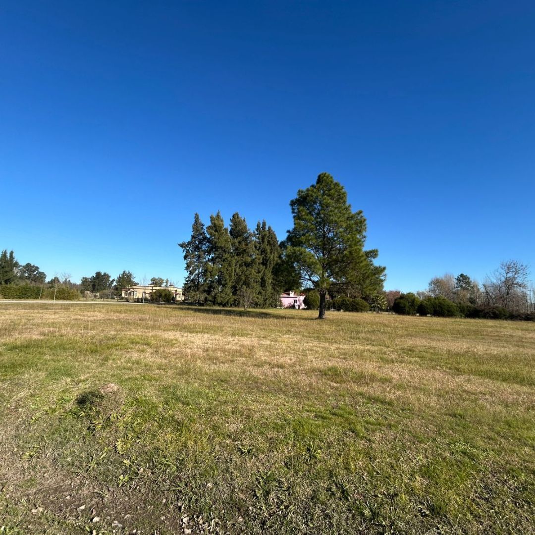 Lote EN VENTA