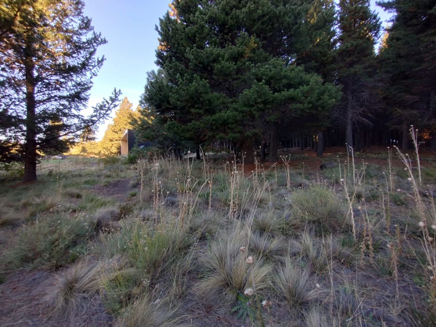 Lote en Venta en Neuquen, Neuquen