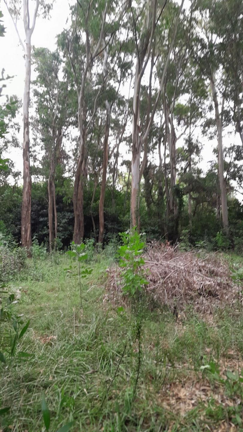 Lote EN VENTA