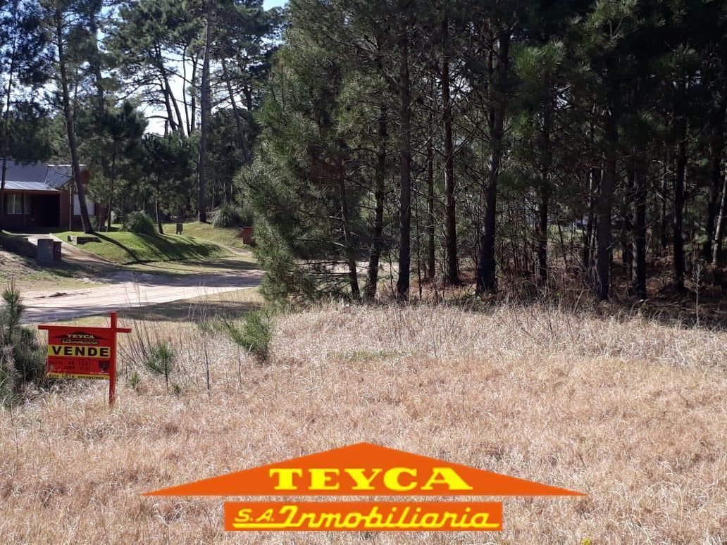 Lote en venta Alamos 0 ambientes