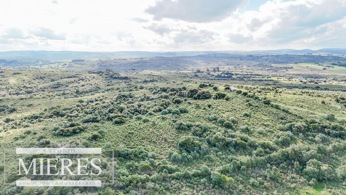 Campo EN VENTA