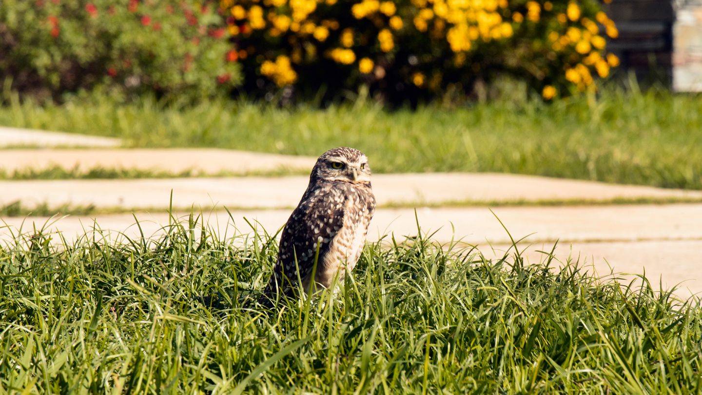 Lote en Venta en Moreno, G.B.A. Zona Oeste