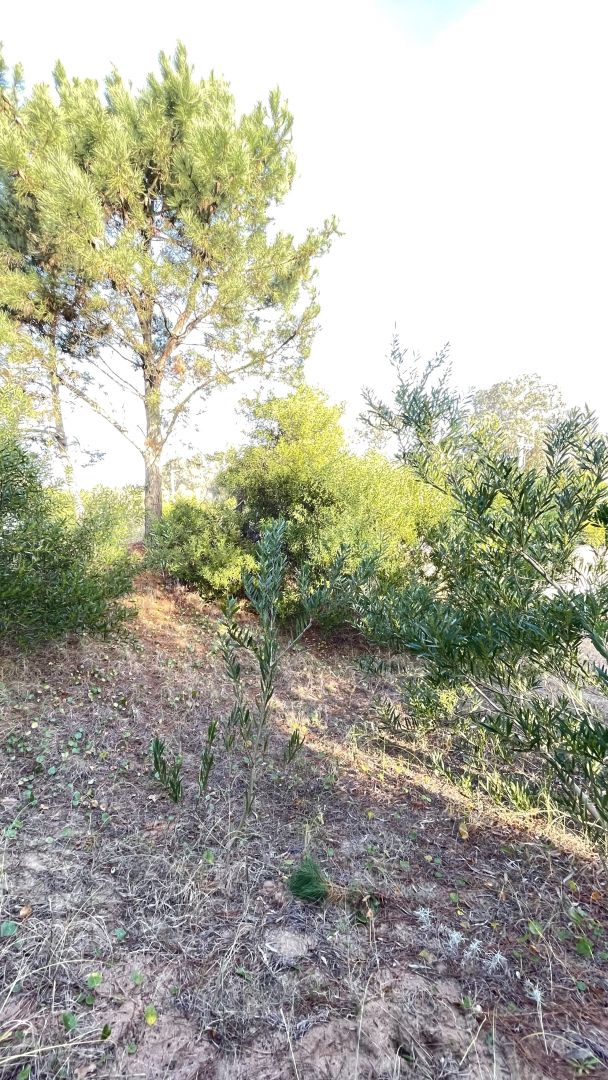 Lote en Venta en De la Costa, Buenos Aires Costa Atlantica