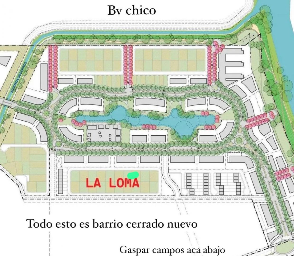 Imagen 2