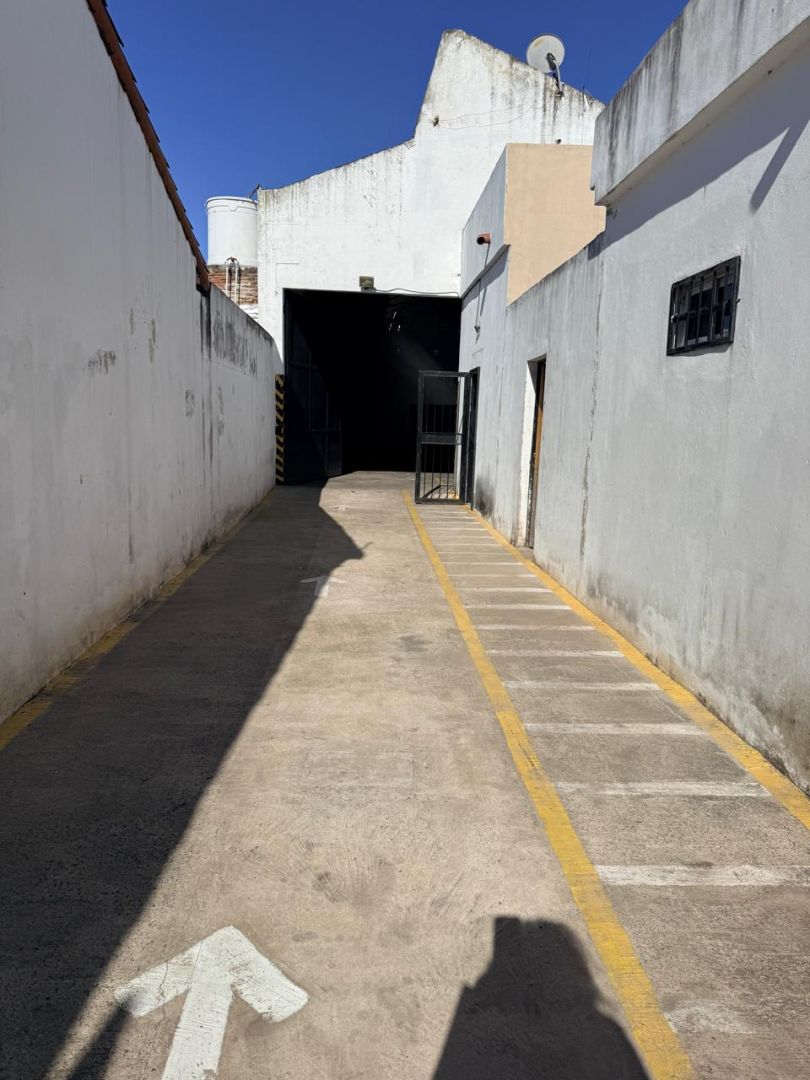 Imagen 11
