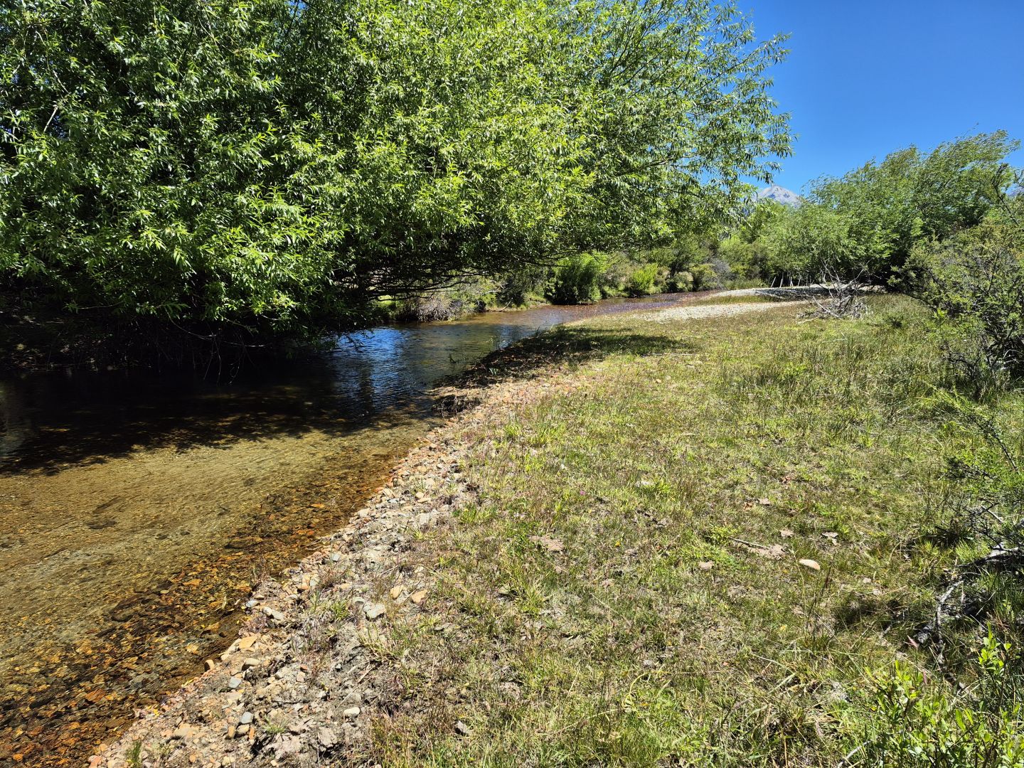 VENTA DE CAMPO EN Cholila - 26