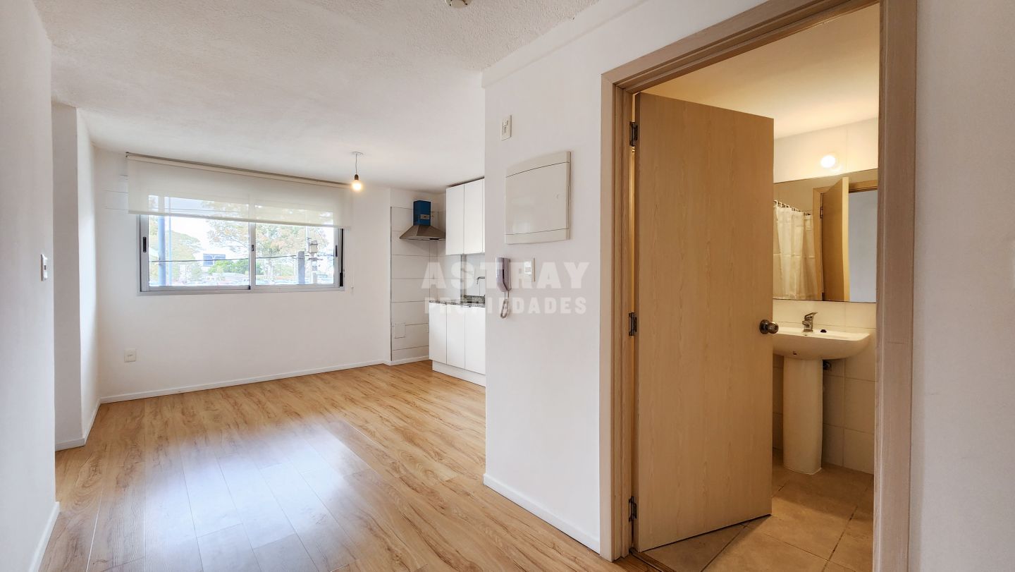 Apartamento en alquiler Parque Batlle 1 dormitorio