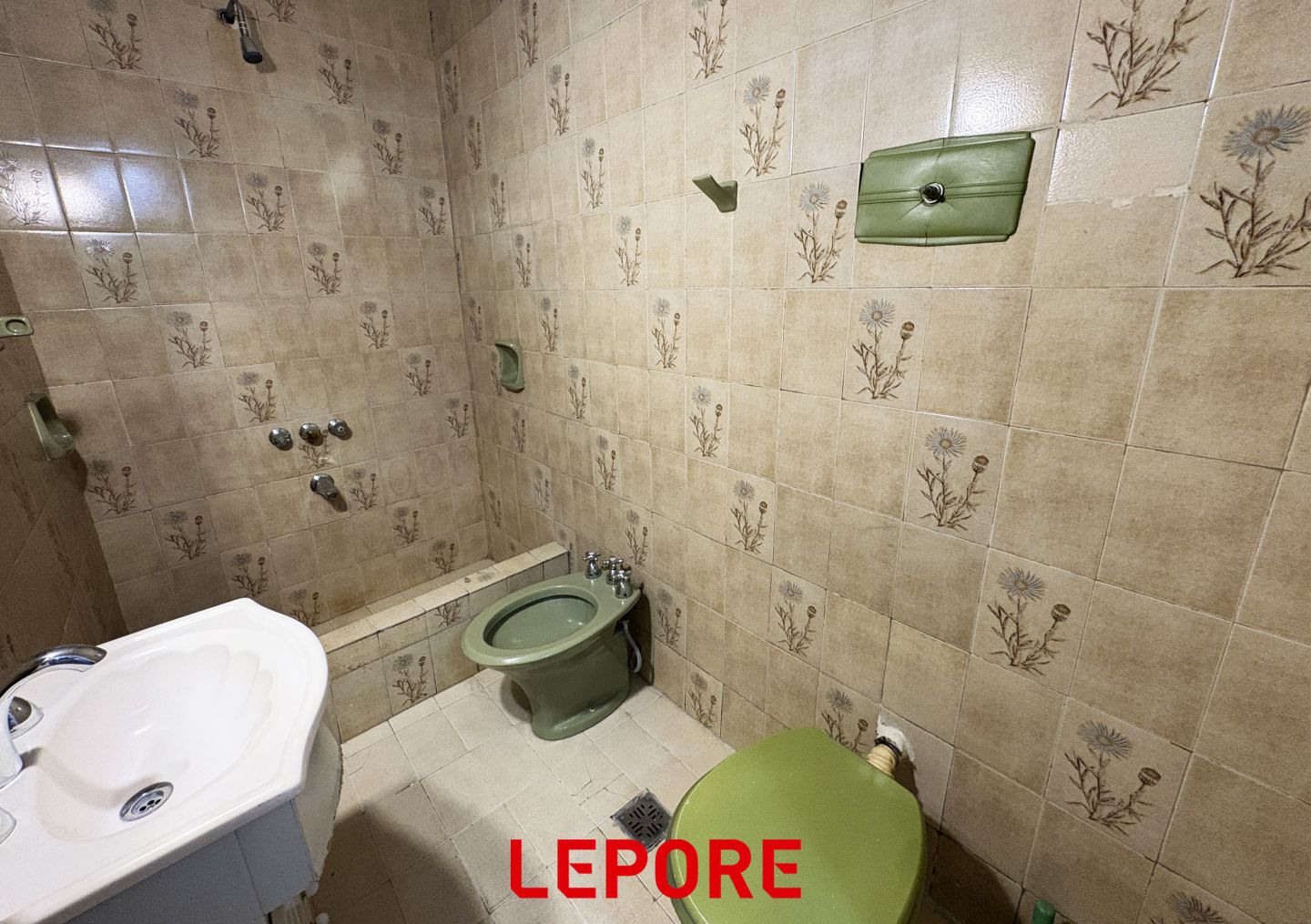 Imagen 14