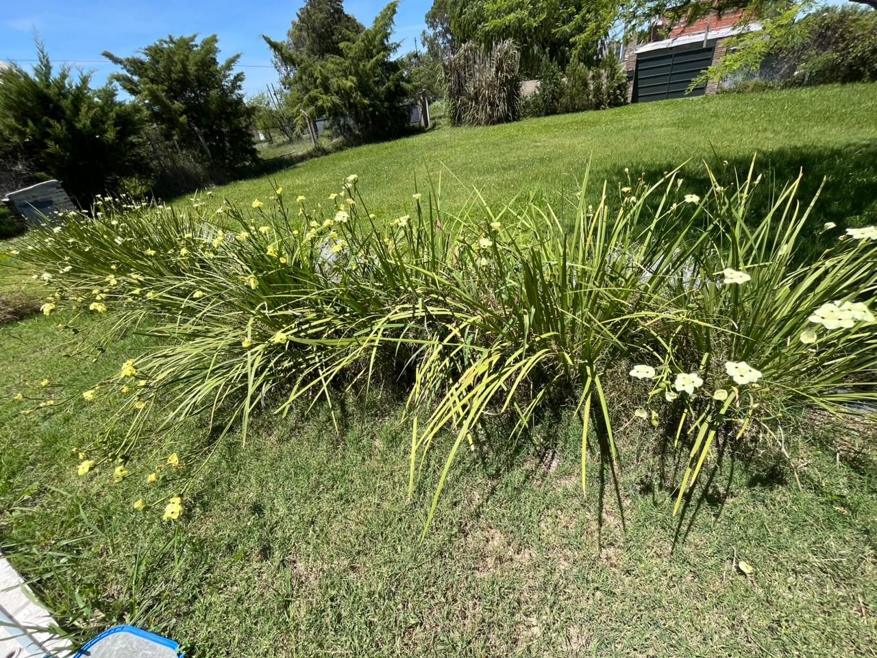 Quinta EN VENTA