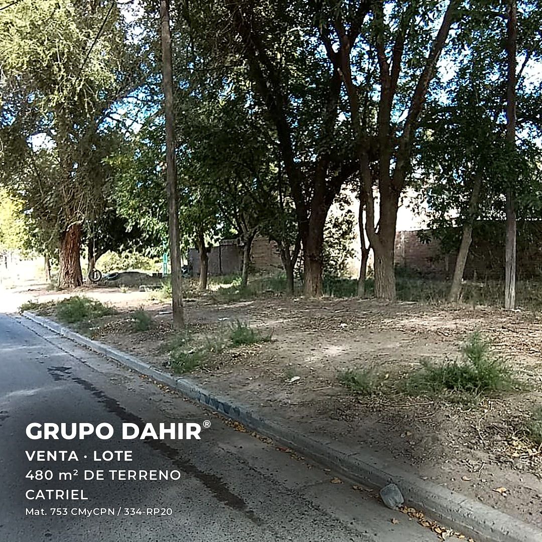 Lote en Catriel — foto 1