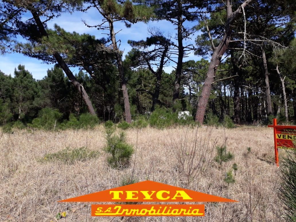 Lote en venta Alamos 0 ambientes