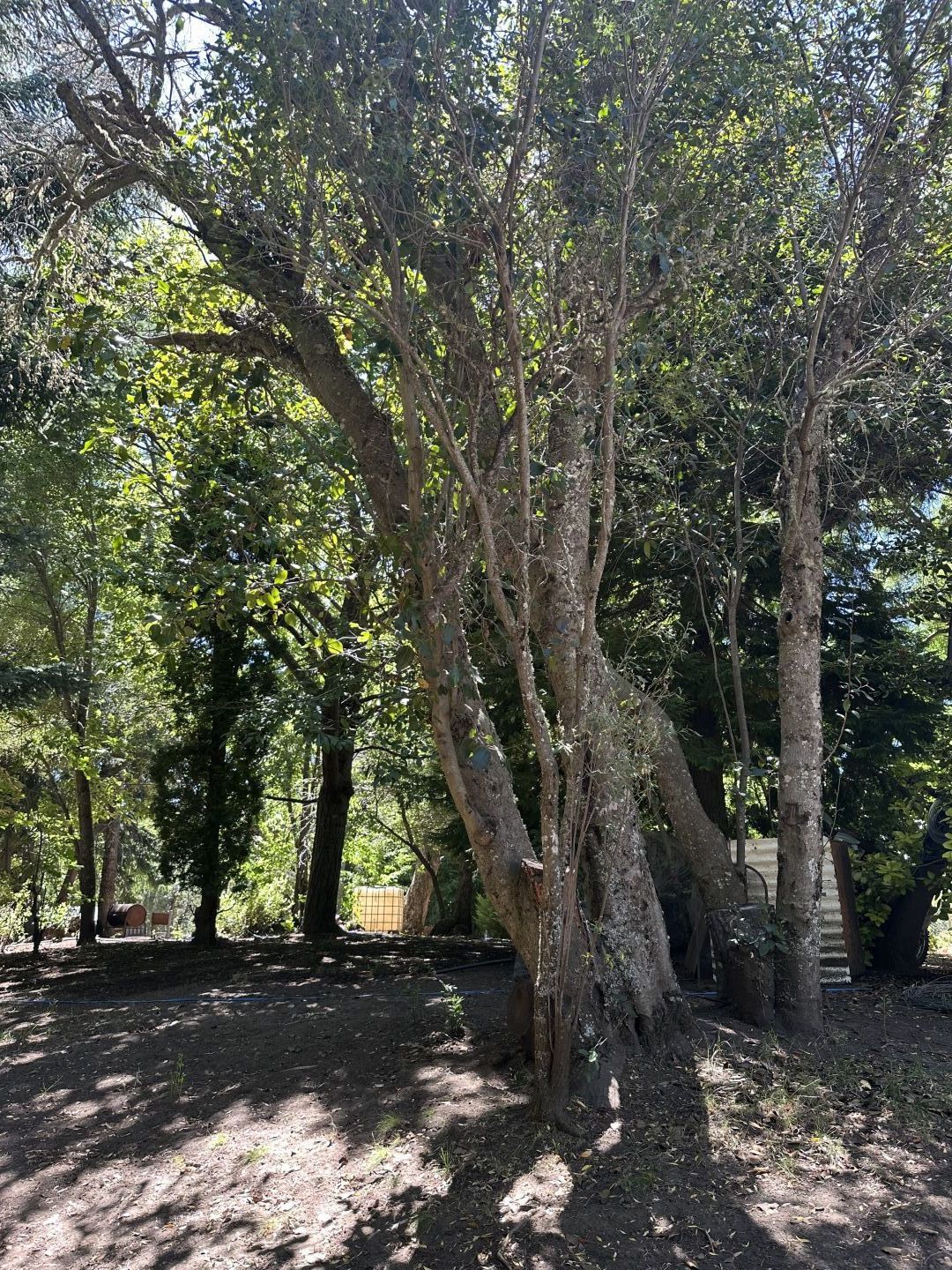 Lote EN VENTA