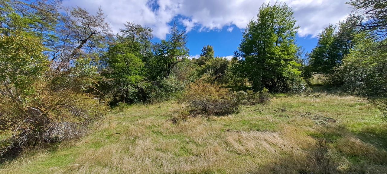 VENTA DE LOTE EN Cholila - 5