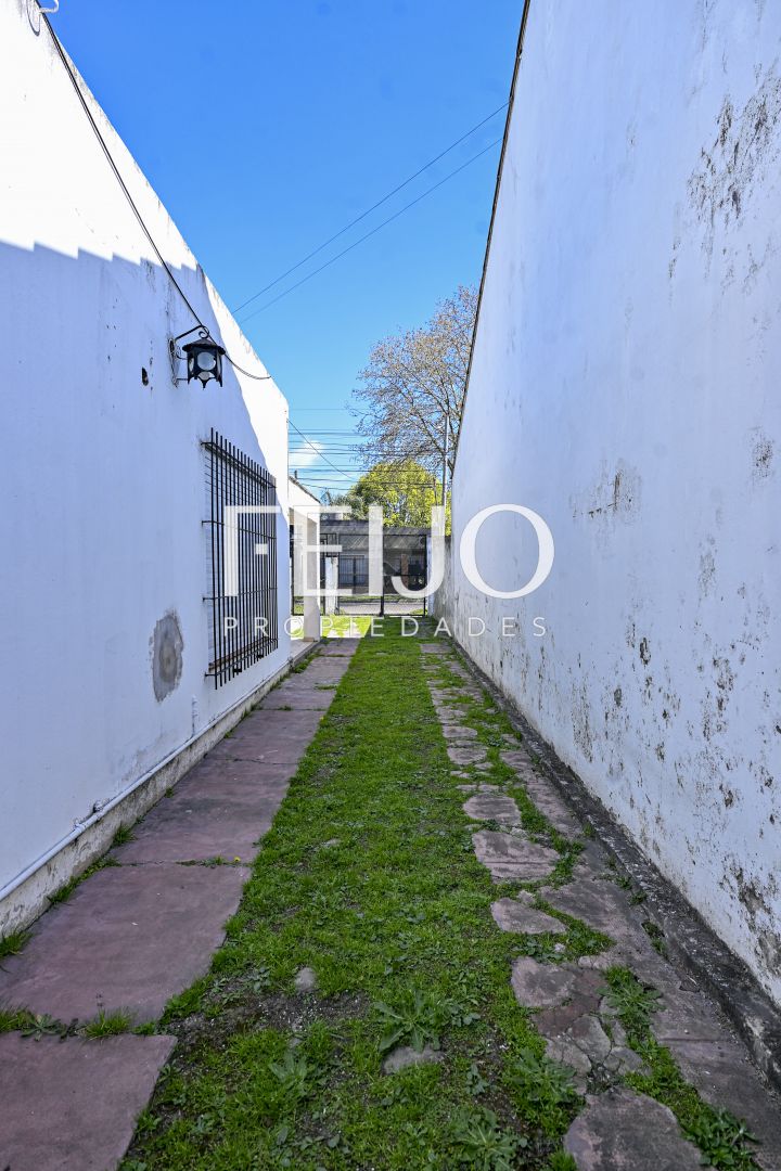 Imagen 8