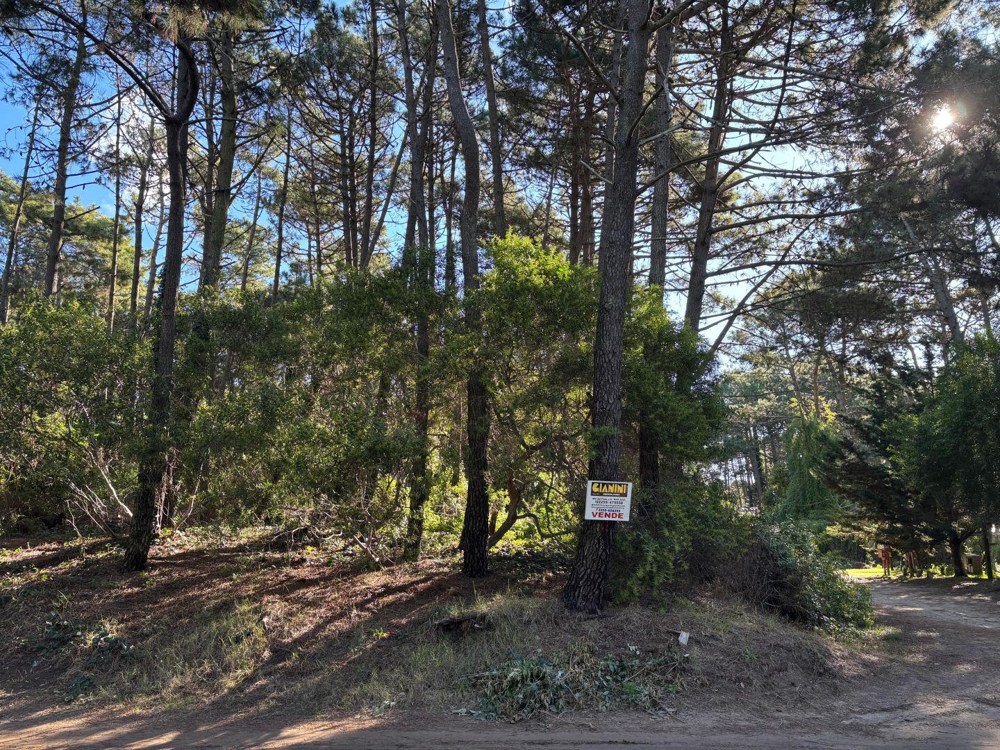 Lote EN VENTA