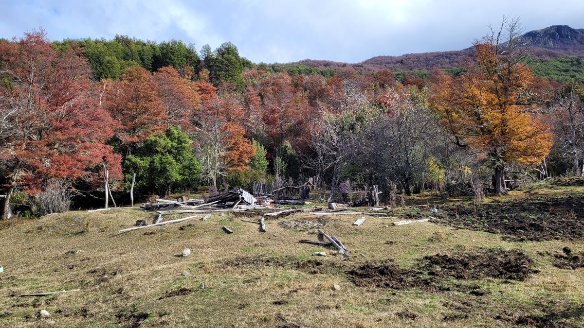 Campo EN VENTA