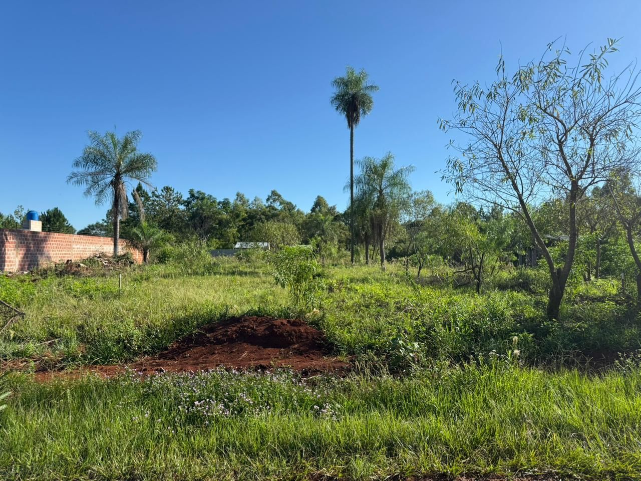 Lote EN VENTA