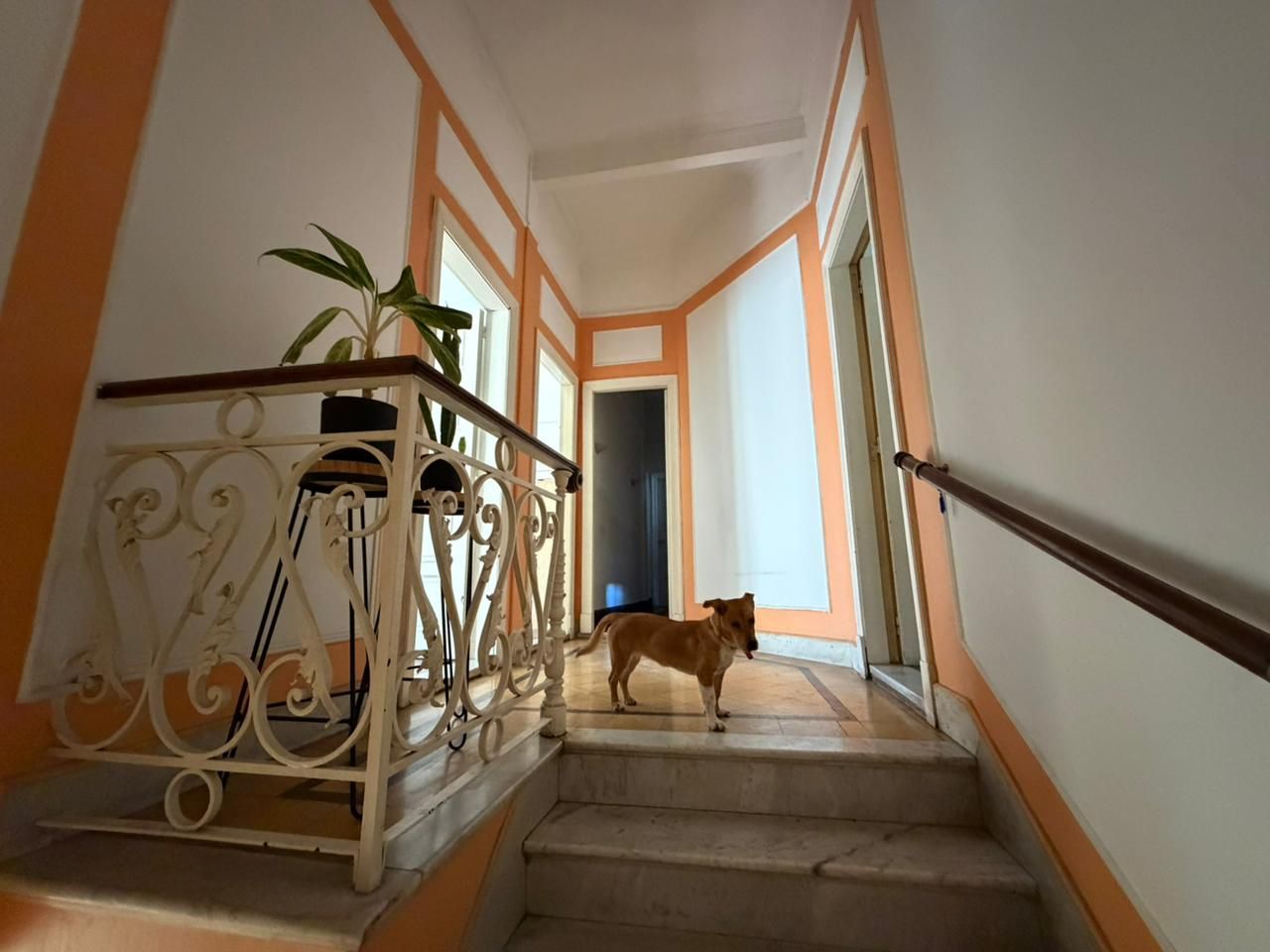 Casa en Venta en Villa del Parque, Capital Federal
