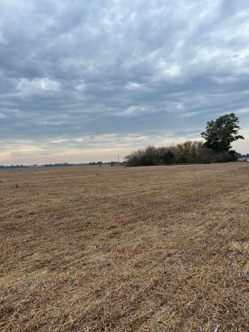 Campo en Venta en Arrecifes, Buenos Aires Interior