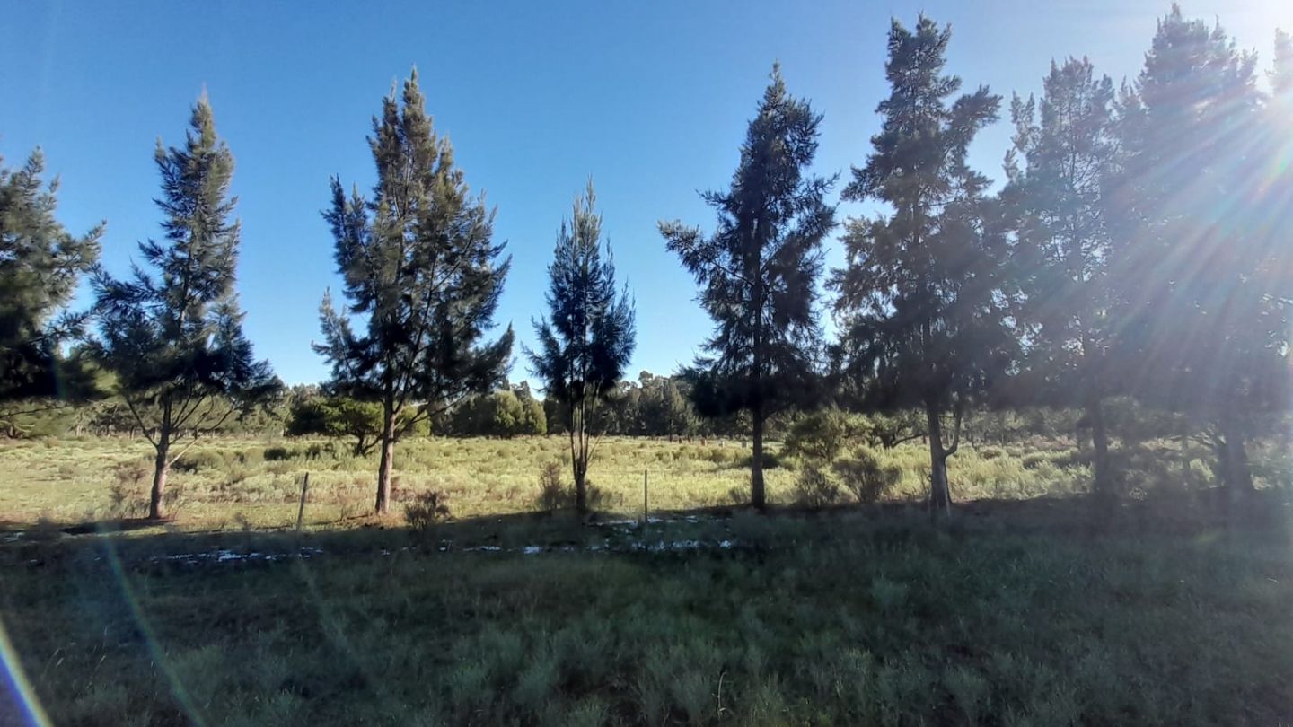 Lote en Venta en Punta Indio, Buenos Aires Interior