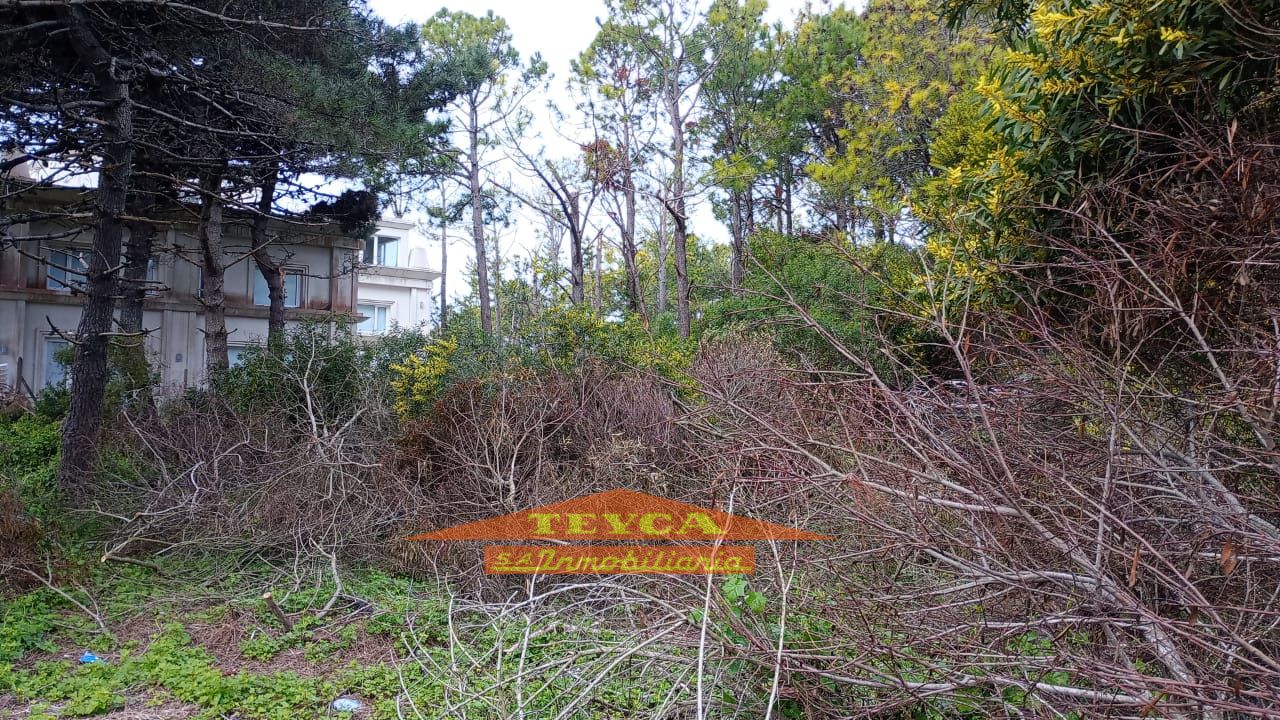 Lote en venta Norte 0 ambientes