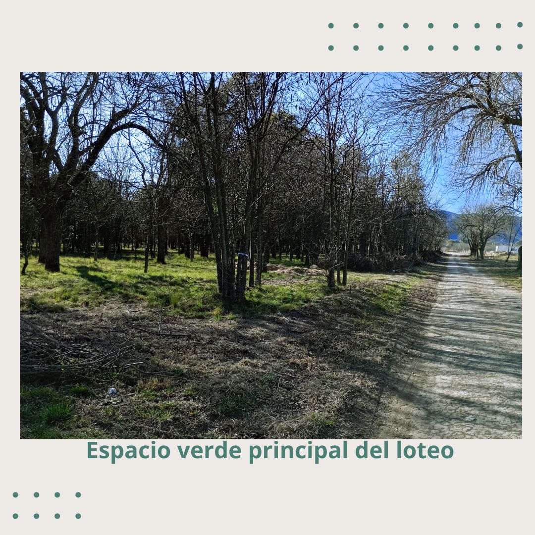 Lote EN VENTA