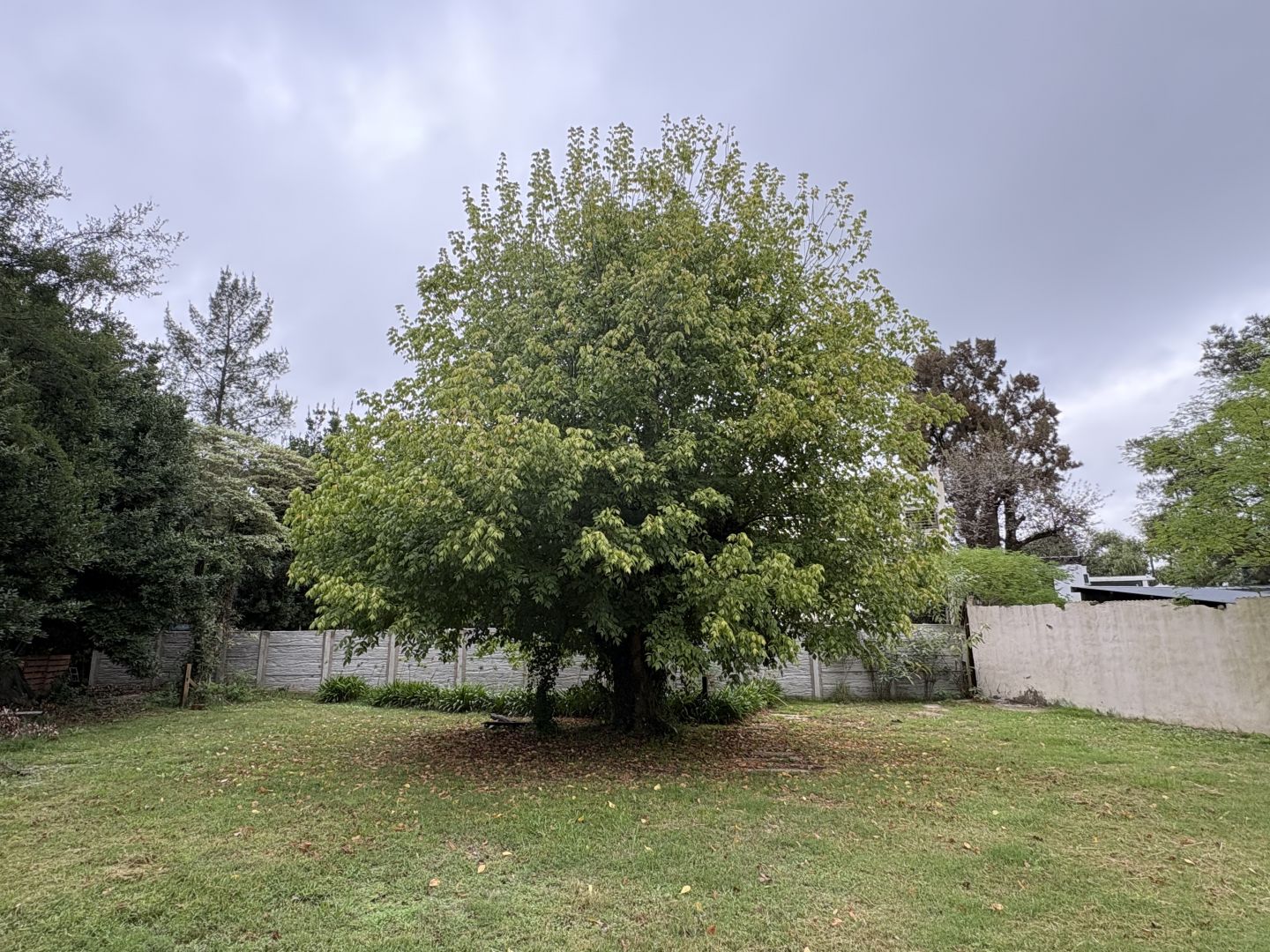 Lote EN VENTA