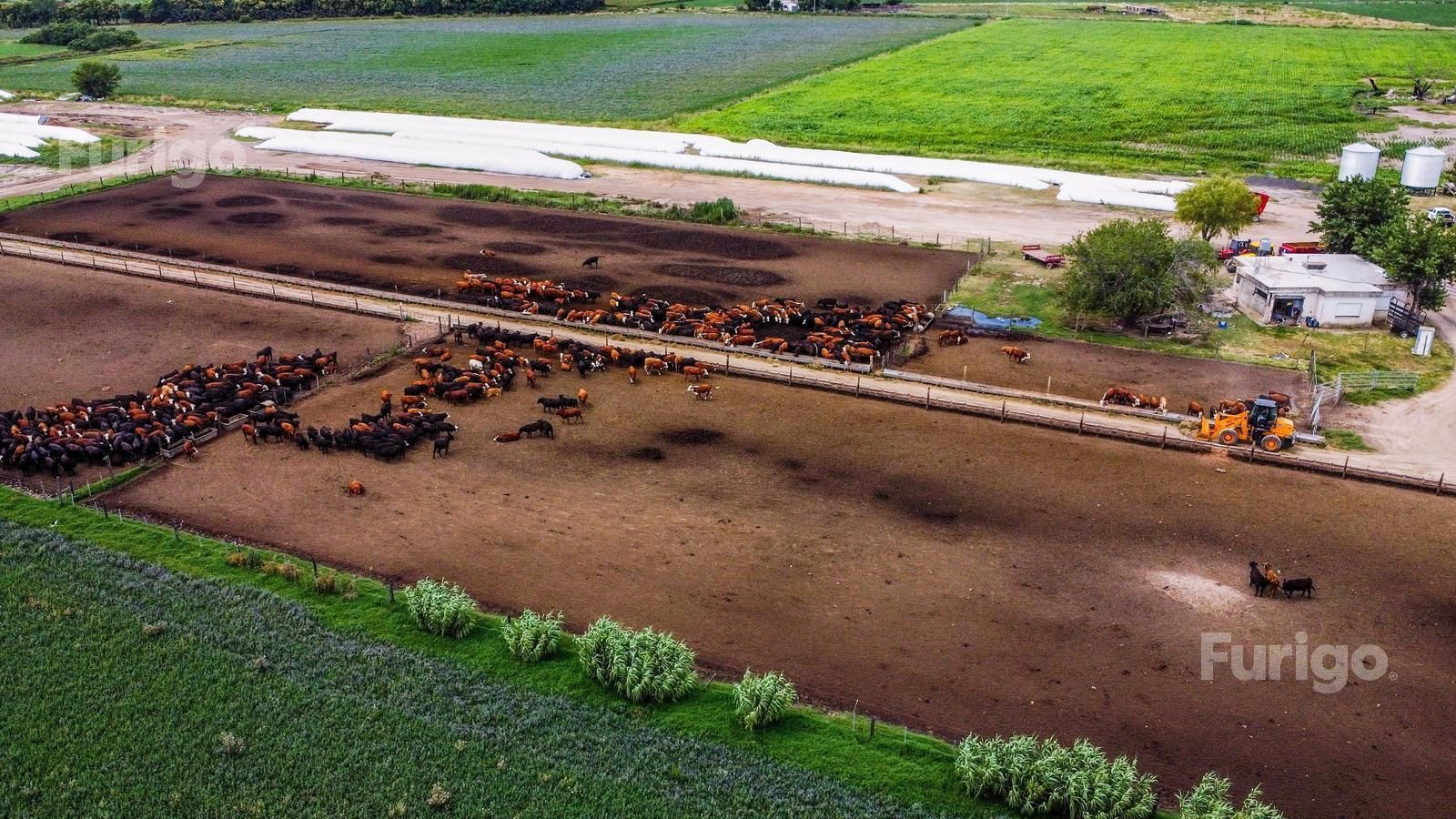Campo en Venta en Rosario, Santa Fe