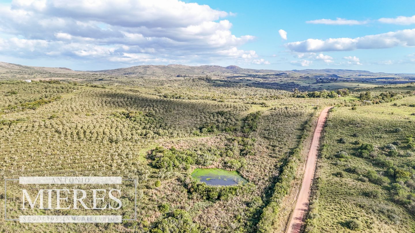 Campo EN VENTA