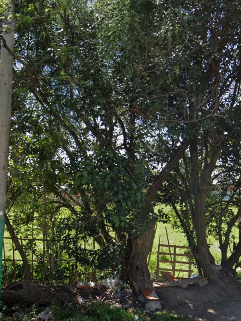 Lote EN VENTA
