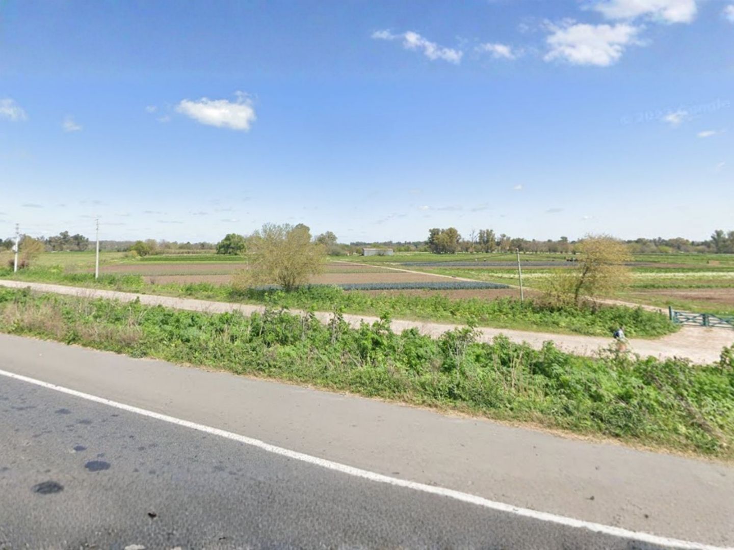Campo EN VENTA