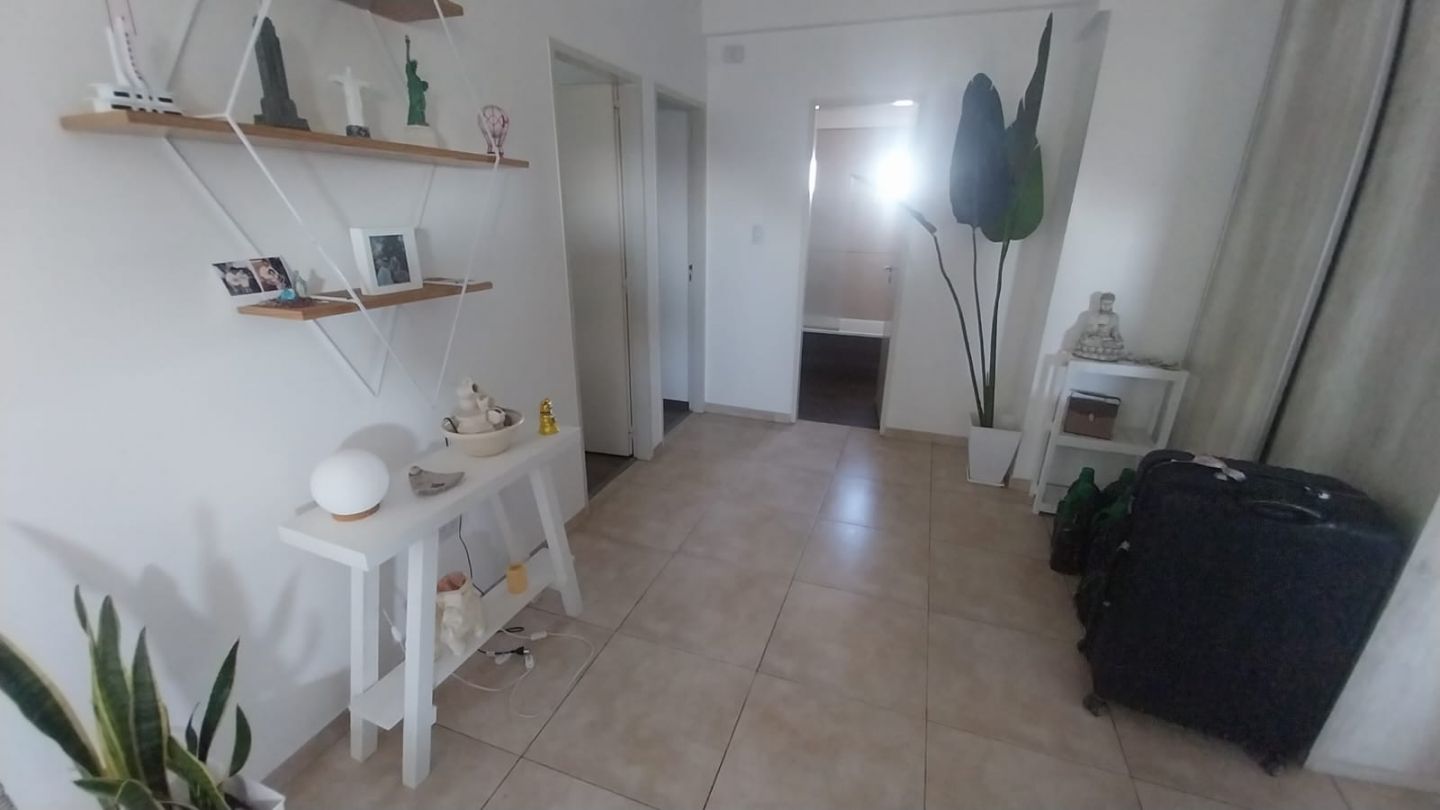 Imagen 6