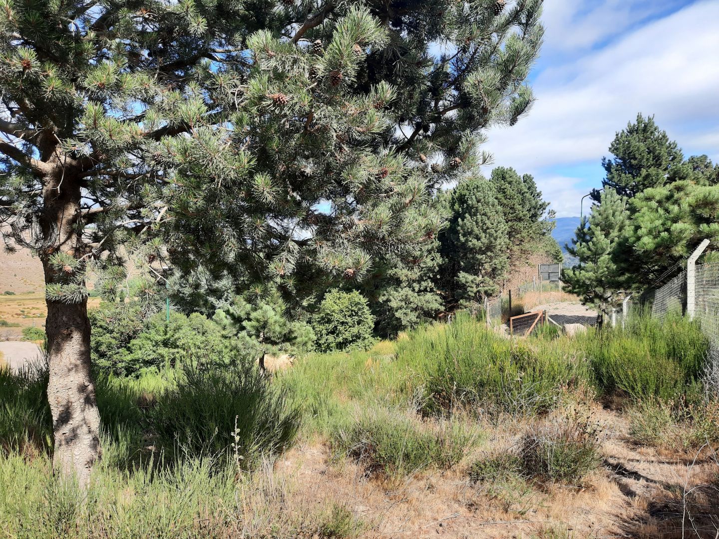 Lote en Venta en San Martin de los Andes, Neuquen