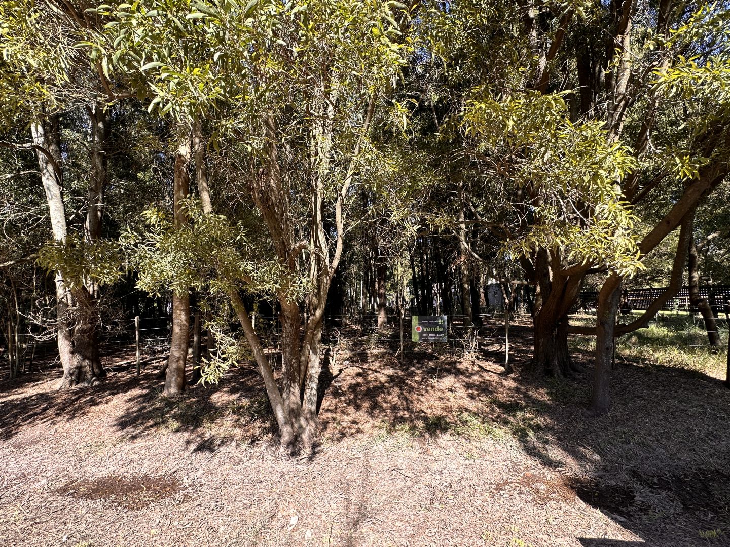 Lote EN VENTA